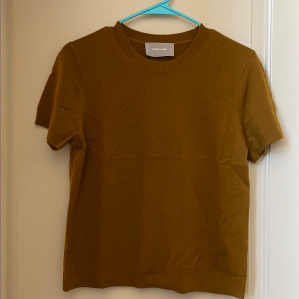 Everlane Cashmere Tee - Brass color